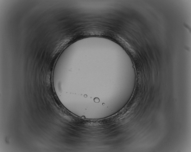 X0000093390537200710111349