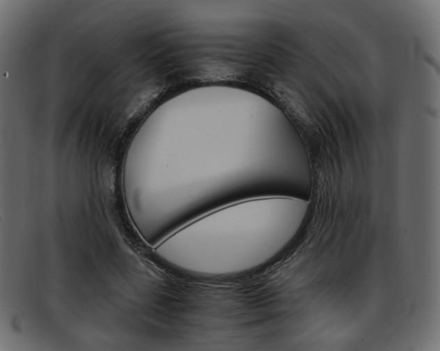 X0000093390539200710111349