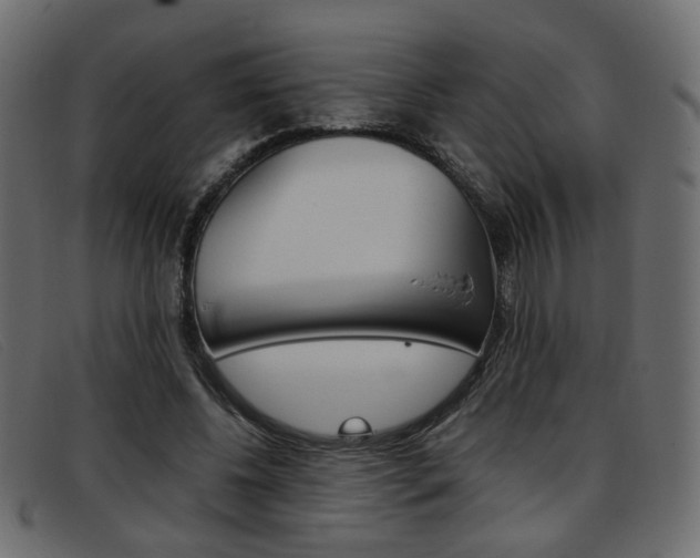 X0000093390540200710111349