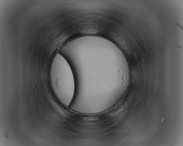 X0000093390541200710111349