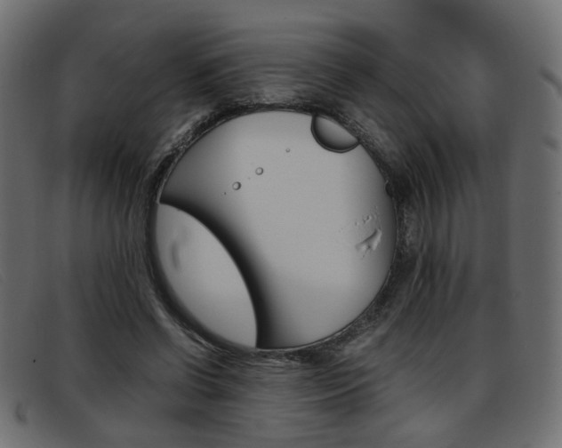 X0000093390542200710111349