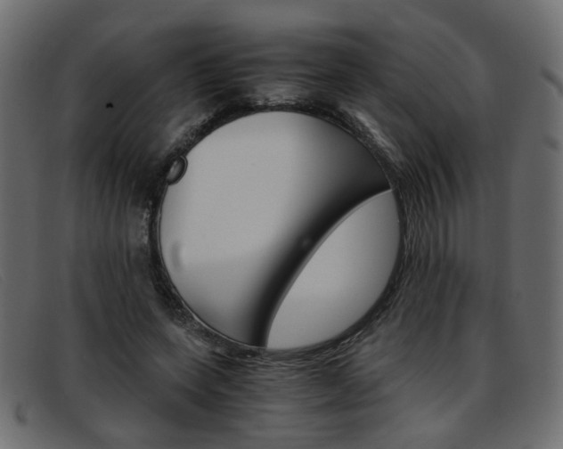 X0000093390543200710111349