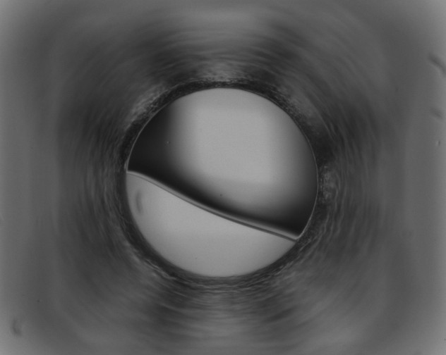 X0000093390544200710111349