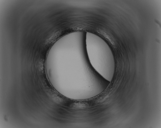 X0000093390545200710111349