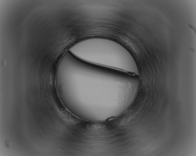 X0000093390546200710111349