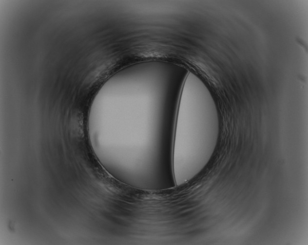 X0000093390547200710111349