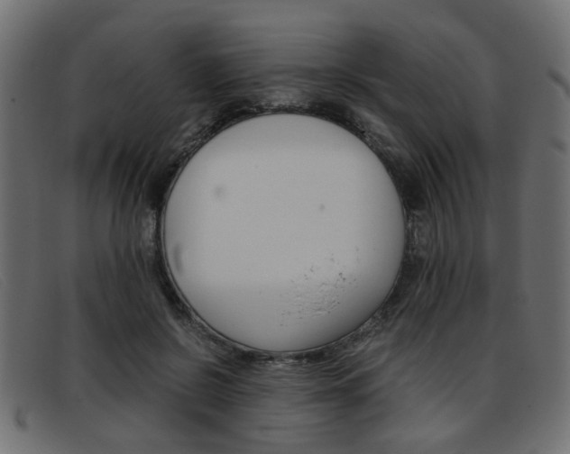 X0000093390550200710111349