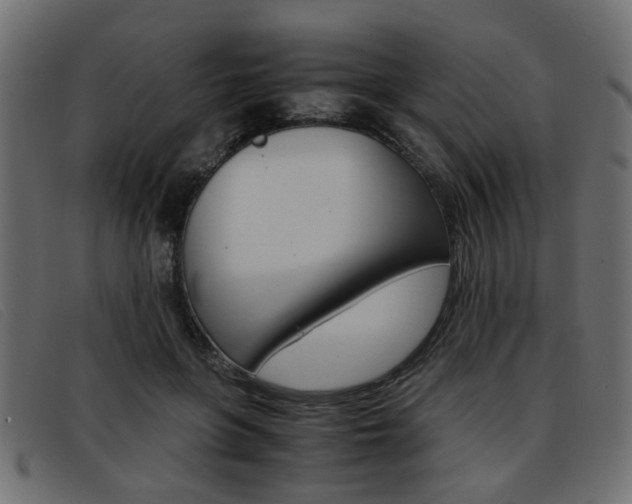 X0000093390551200710111350