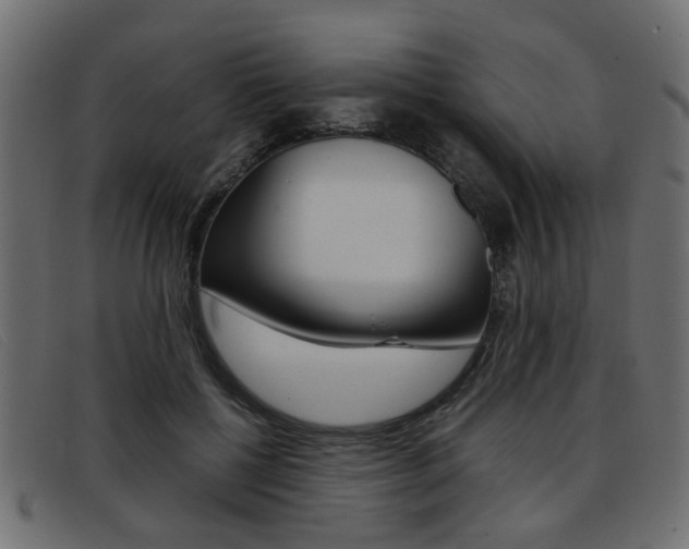 X0000093390552200710111350