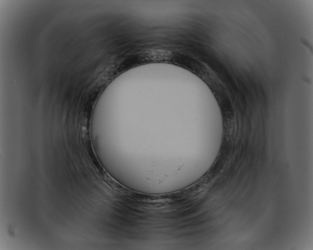 X0000093390553200710111350