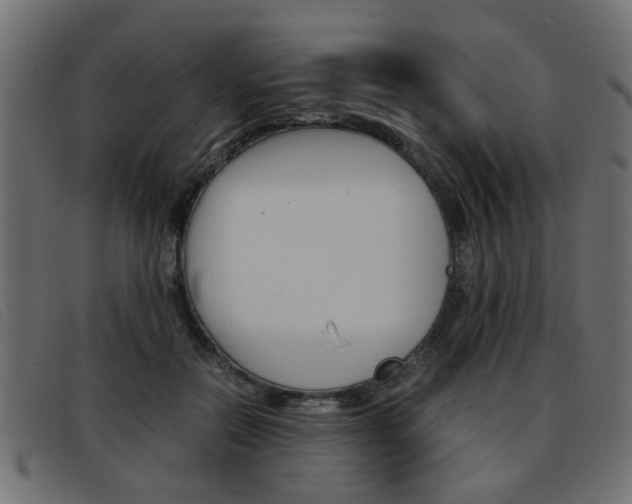 X0000093390554200710111350