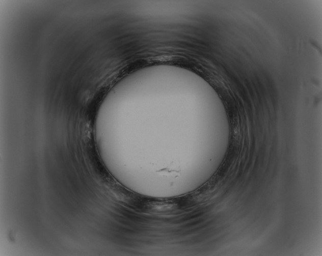 X0000093390555200710111350