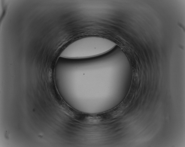 X0000093390556200710111350