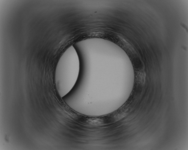 X0000093390557200710111350