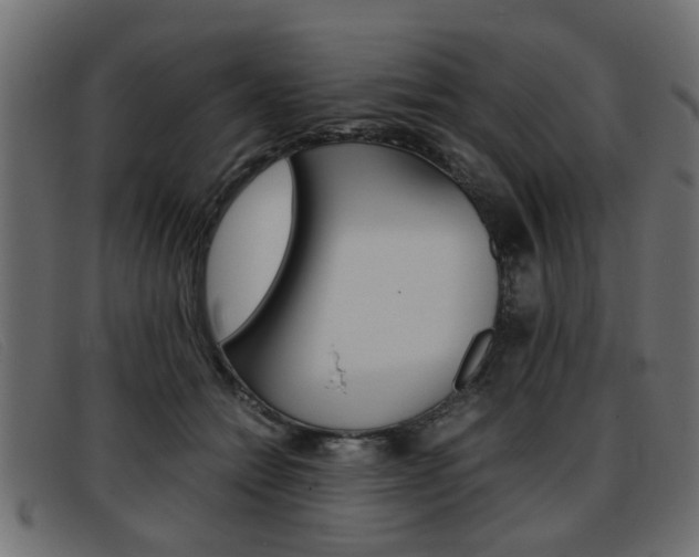X0000093390558200710111350