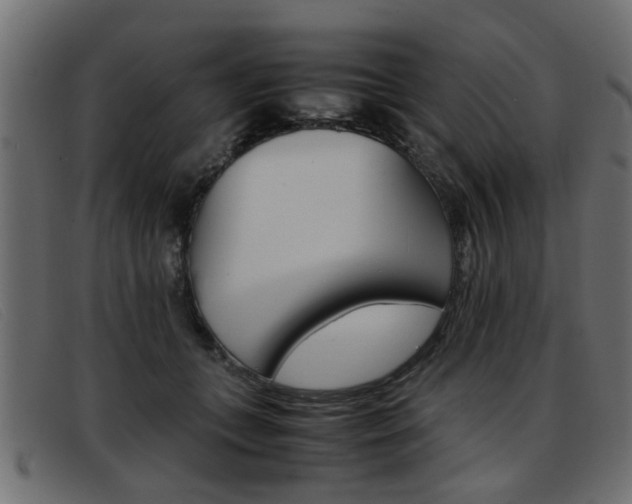 X0000093390559200710111350