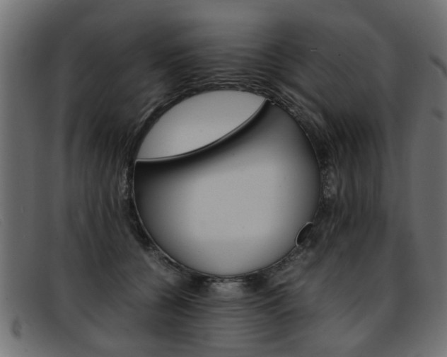 X0000093390560200710111350