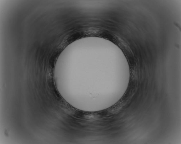 X0000093390561200710111350