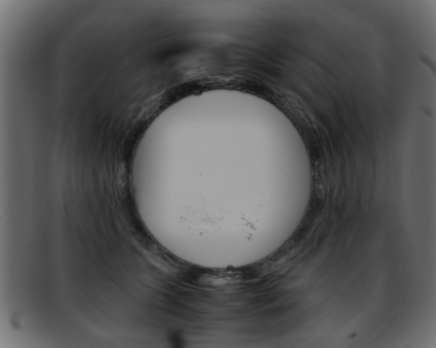 X0000093390563200710111350