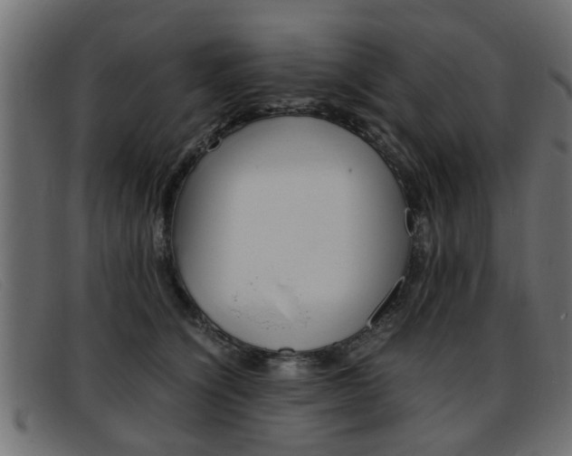 X0000093390564200710111350