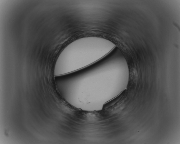 X0000093390566200710111350