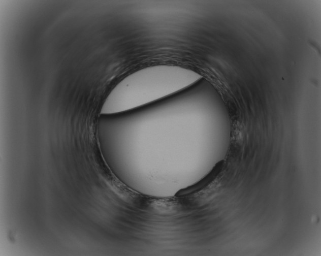 X0000093390568200710111350