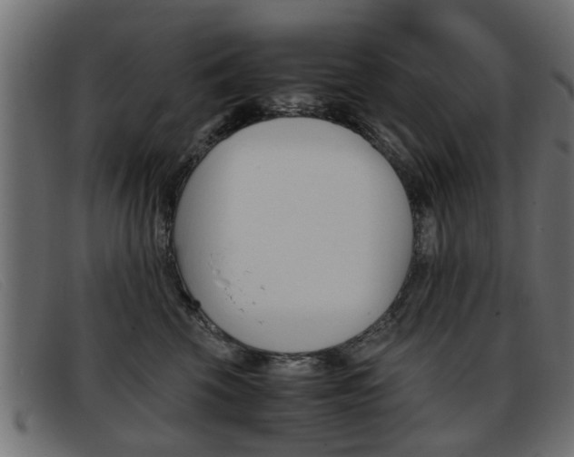 X0000093390569200710111350
