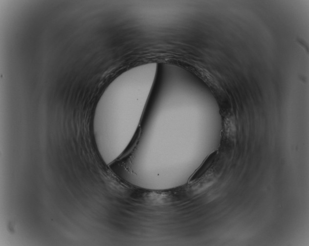 X0000093390570200710111350
