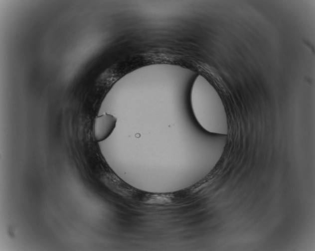X0000093390573200710111350