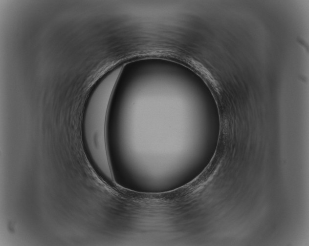 X0000093390577200710111349