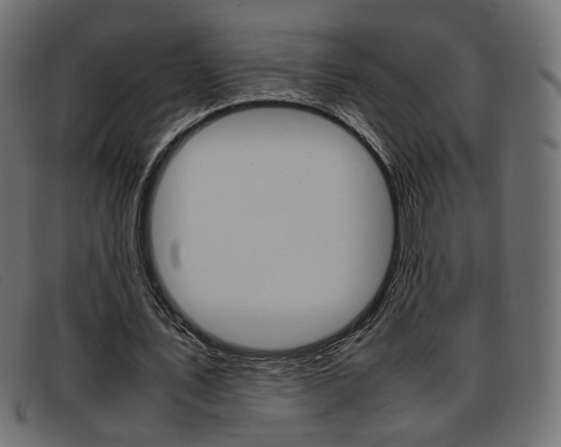 X0000093390579200710111349
