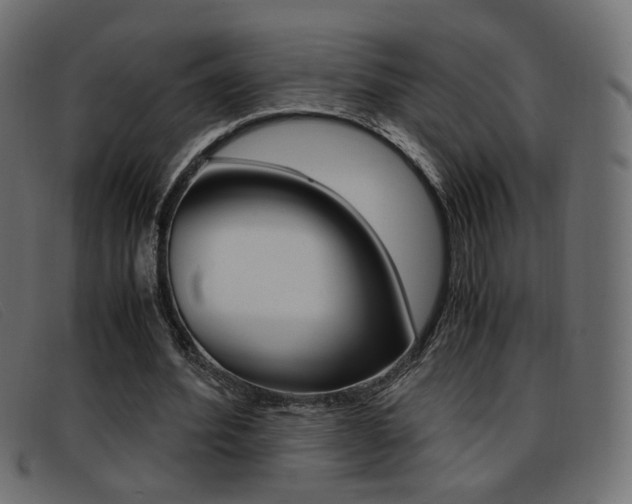 X0000093390580200710111349