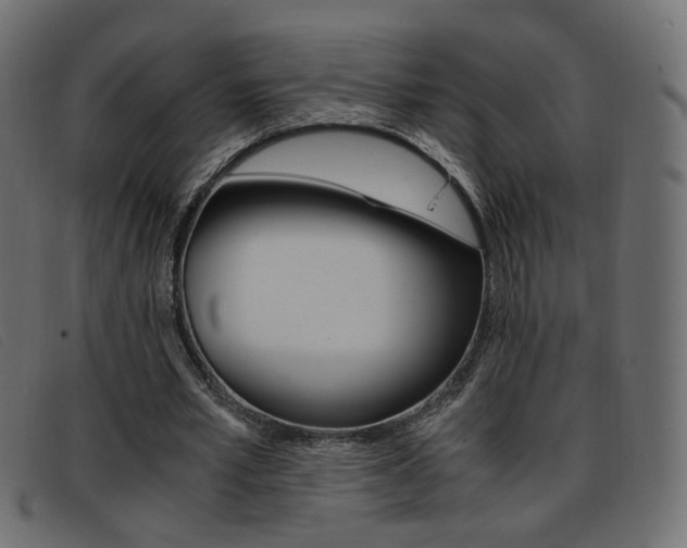 X0000093390581200710111349