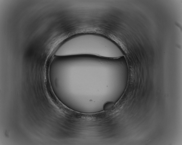 X0000093390582200710111349