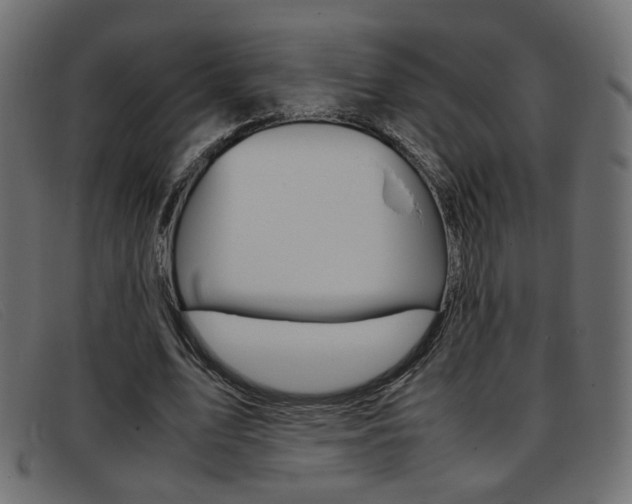X0000093390583200710111349