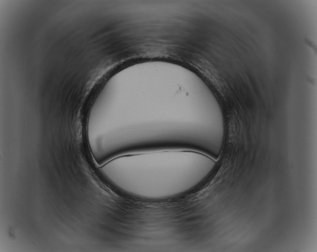 X0000093390584200710111349