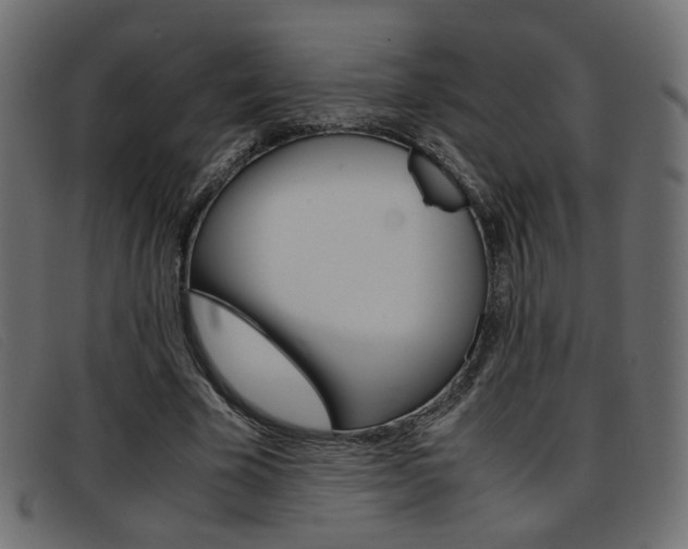 X0000093390585200710111349