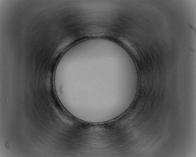 X0000093390586200710111349