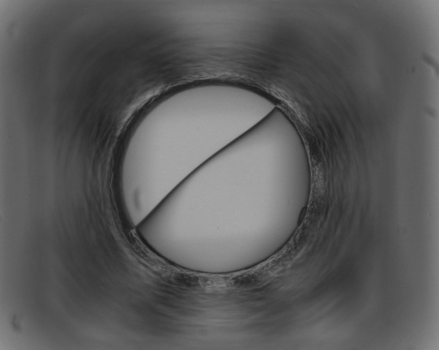 X0000093390587200710111349