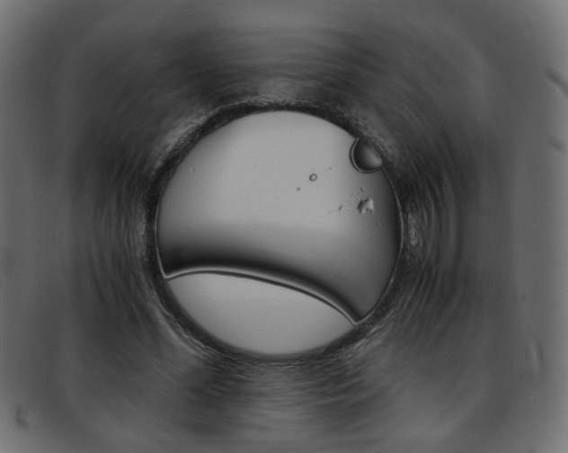 X0000093390588200710111349