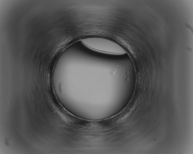 X0000093390589200710111349