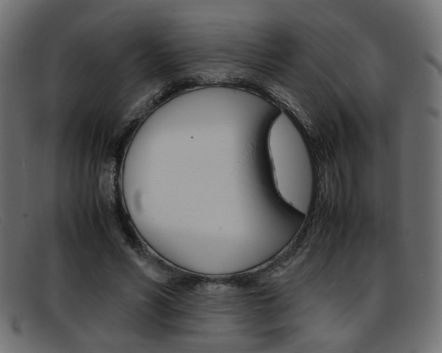 X0000093390590200710111349