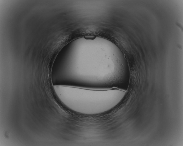 X0000093390593200710111349