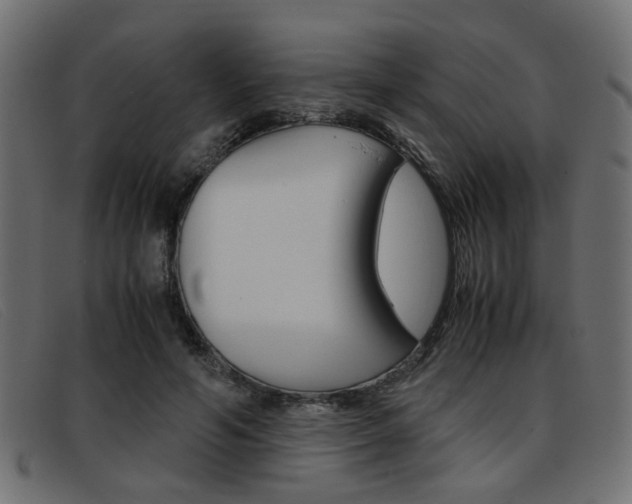 X0000093390594200710111349