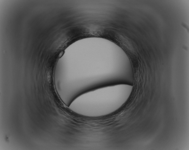 X0000093390595200710111349