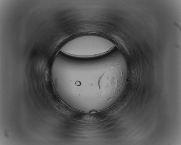 X0000093390596200710111349