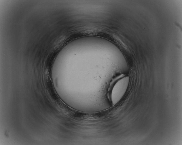 X0000093390597200710111349
