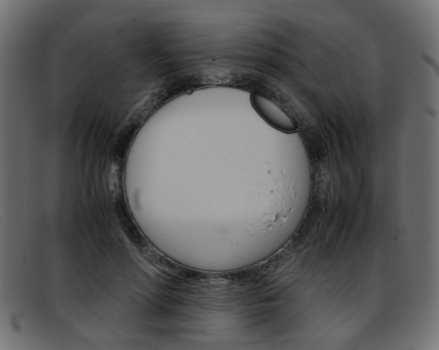 X0000093390598200710111349
