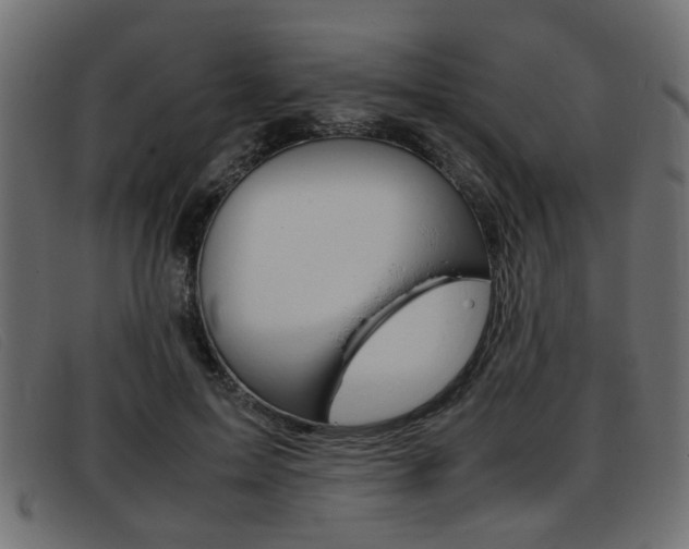 X0000093390599200710111349