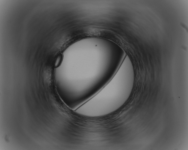 X0000093390600200710111349